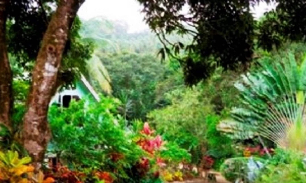 Coffeeriver Cottages | Marigot