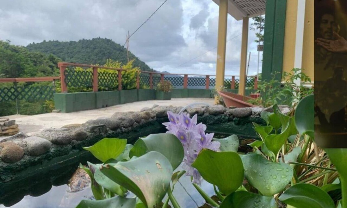 Barroui House | Grand Bay Sunrise Guesthouse