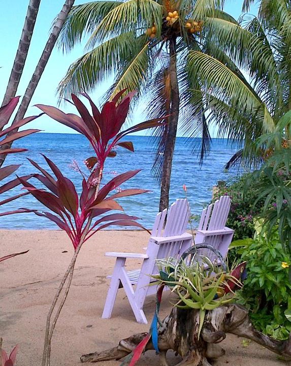 Calibishie House | Veranda View Guesthouse