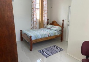 Beautiful Apartment in Roseau City