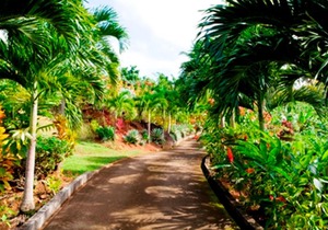 Coffeeriver Cottages