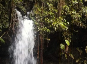 Coffeeriver Cottages | Marigot