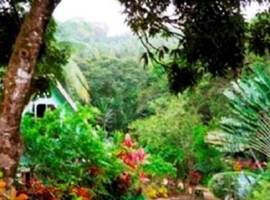 Coffeeriver Cottages | Marigot