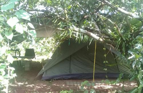 Rosalie Cabin | 3 Rivers Eco Lodge
