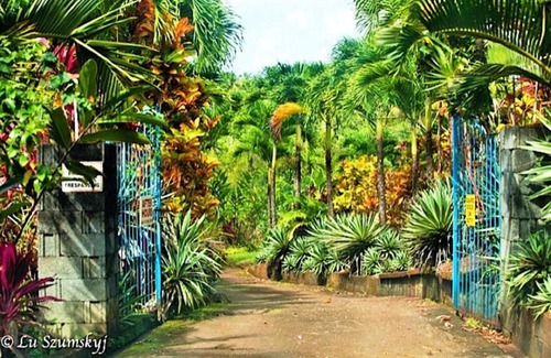 Marigot House | Coffeeriver Cottages