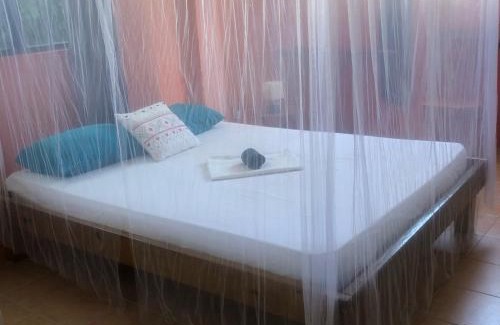 Roseau Apartment | Joy's Apartment