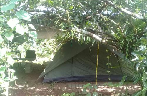 Rosalie Cabin | 3 Rivers Eco Lodge