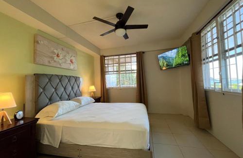Picard Apartment | Balisier Apartments - Apt #1