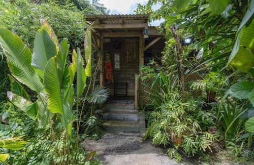 Fond Cani House | Bauhinia-