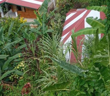 Fond Cani House | Berkey's Jungle Paradise