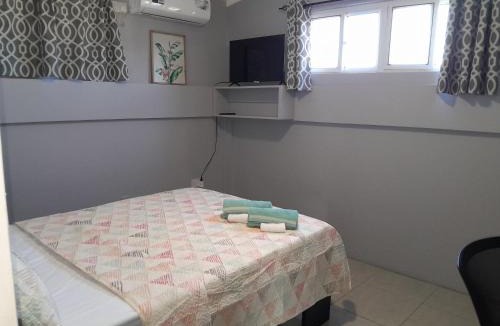 Roseau Apartment | City View