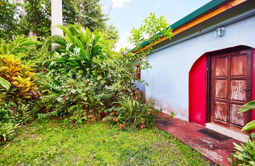Marigot House | Cozy and Rustic bungalow next to river! Close to interesting sites.