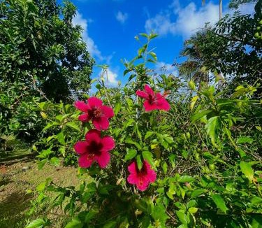 Marigot Apartment | Happy-Nest (First floor)