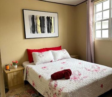 Roseau Apartment | La Caille Créole