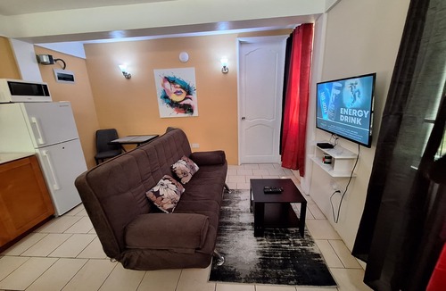 Newtown Apartment | Lovely pool side 1 bedroom Apartment just 2 mins from Roseau