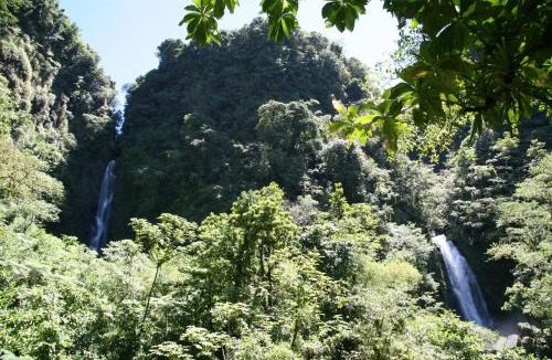 Trafalgar Hotel | Natty Tropical Valley