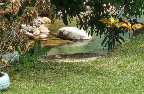 Marigot Apartment | River Splash Apartment at Concord-Dominica