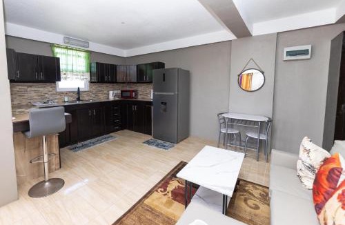 Canefield Apartment | Roseau Canefield Apartment with Full Kitchen Air Conditioning and Wi-Fi Close to town