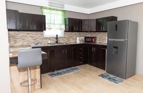 Canefield Apartment | Roseau Canefield Apartment with Full Kitchen Air Conditioning and Wi-Fi Close to town
