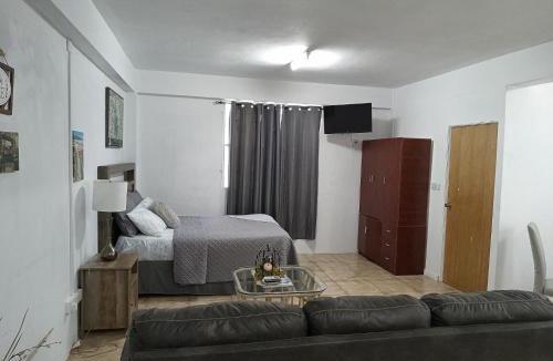 Roseau Apartment | Roseau City Hub apt # 3