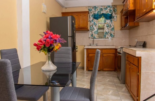 Canefield Apartment | Spacious 3-bedroom apartment with WiFi, AC in delightful Roseau