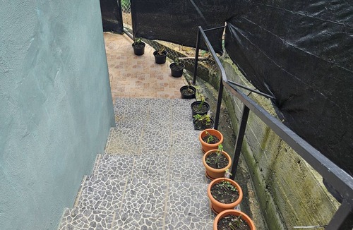 Calibishie Apartment | Studio in enjoyable Marigot with air conditioning