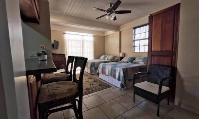 Roseau Apartment | Deluxe Queen Room