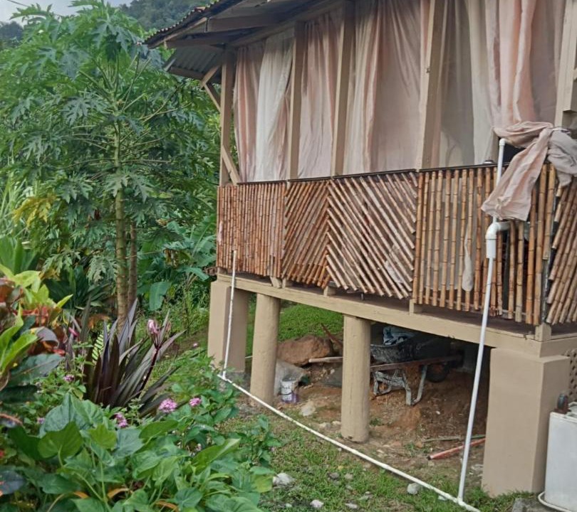 Wotten Waven Apartment | anthurium cabin