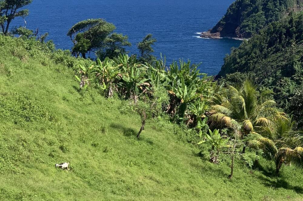 Photo of Outdoor in Barroui