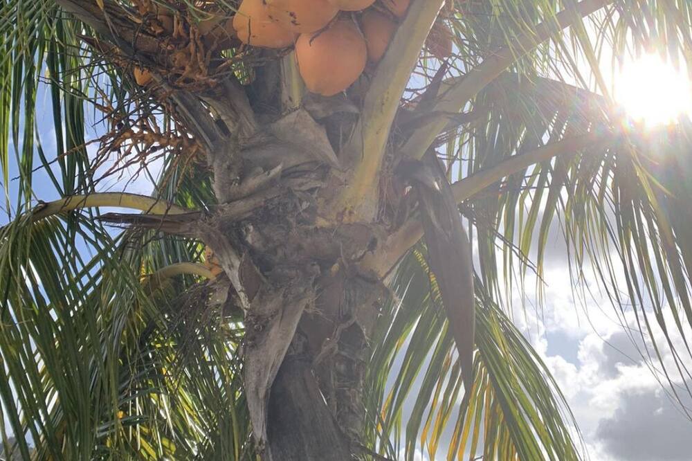 Photo of Outdoor in Barroui