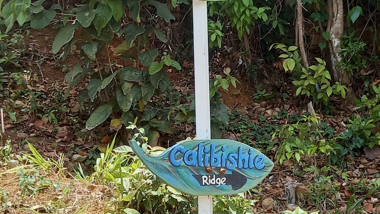 Photo of Outdoor in Calibishie
