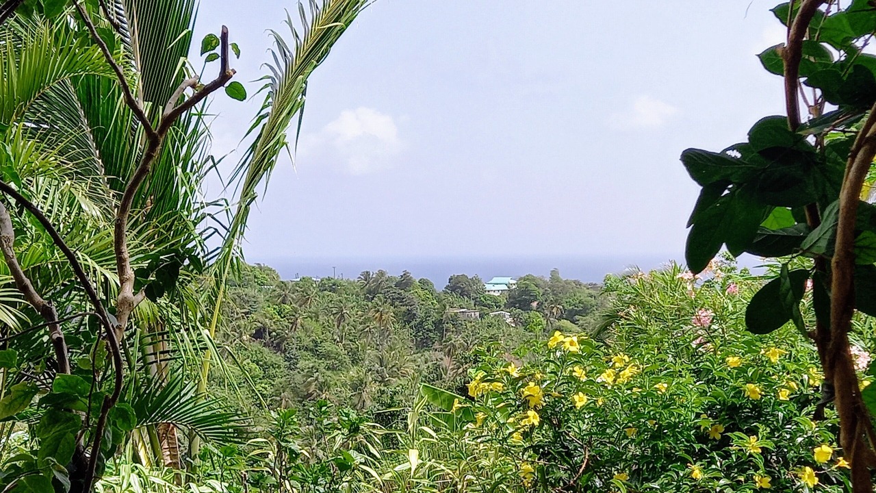 Photo of Outdoor in Calibishie