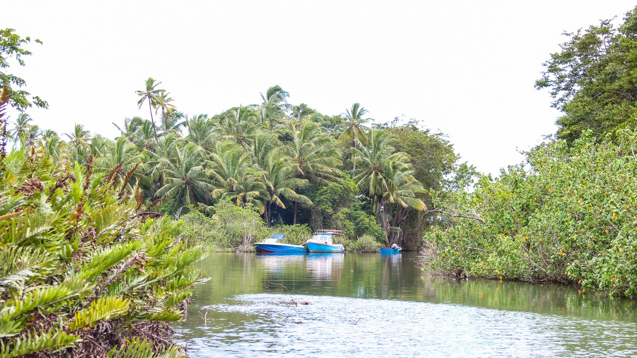 Photo of Outdoor in Picard