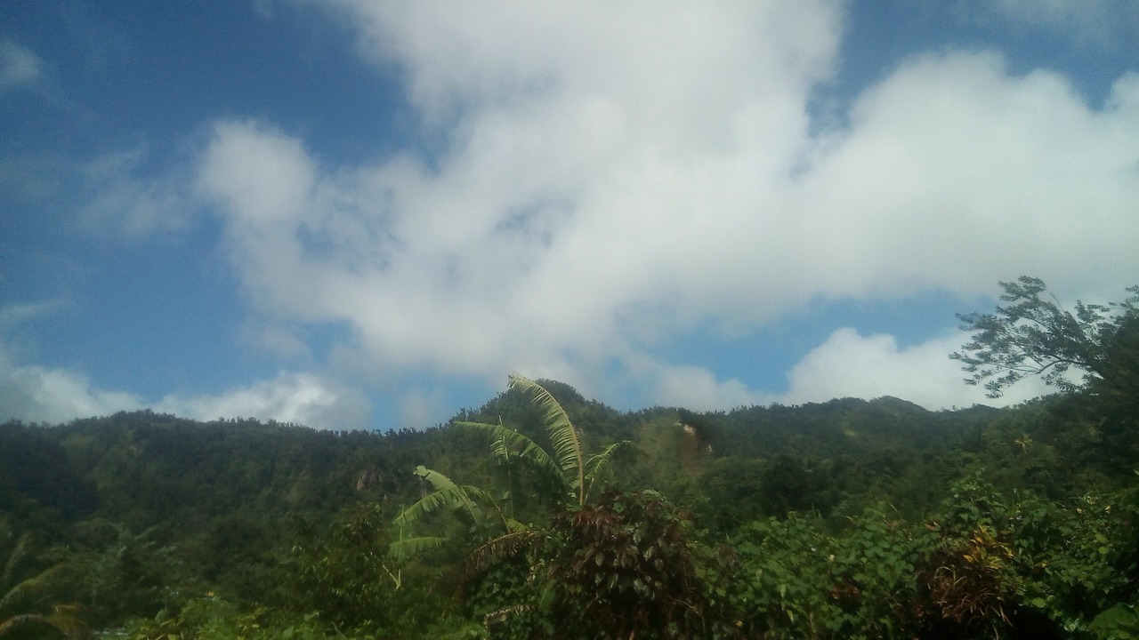Photo of Outdoor in Wotten Waven