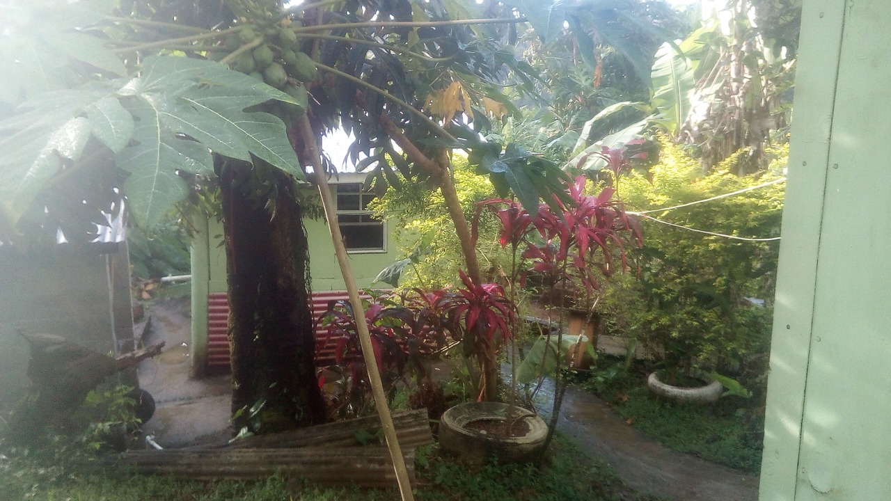 Photo of Outdoor in Wotten Waven