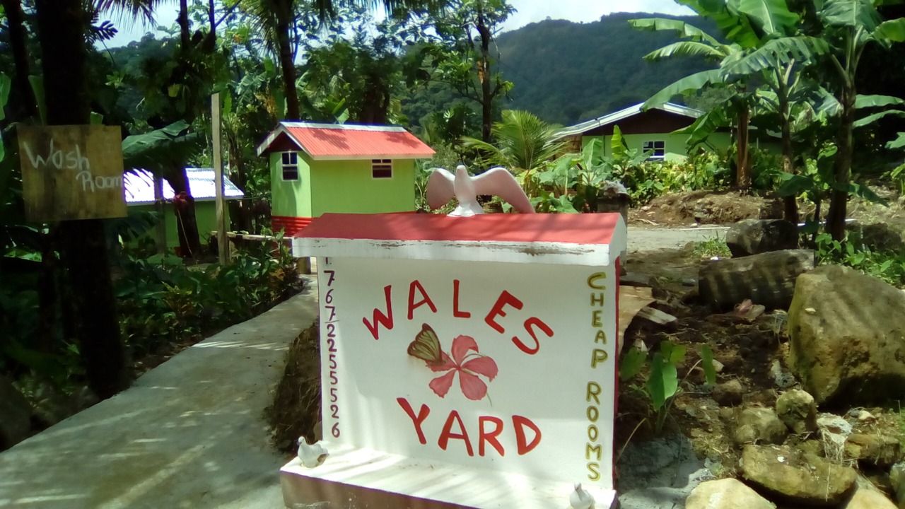 Photo of Outdoor in Wotten Waven