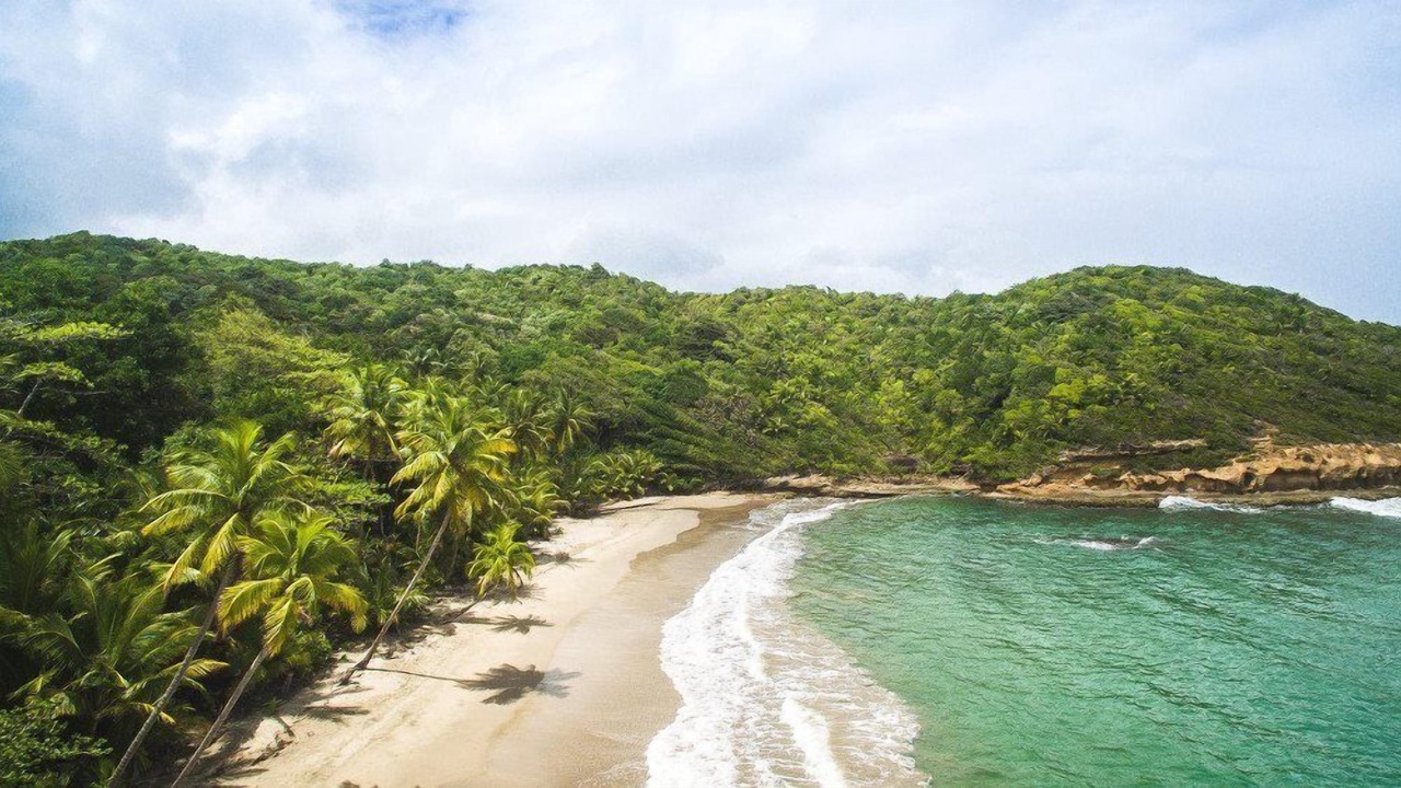 Photo of Others in Anse du Me