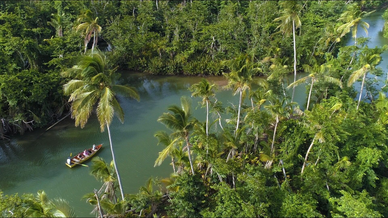 Photo of Others in Anse du Me
