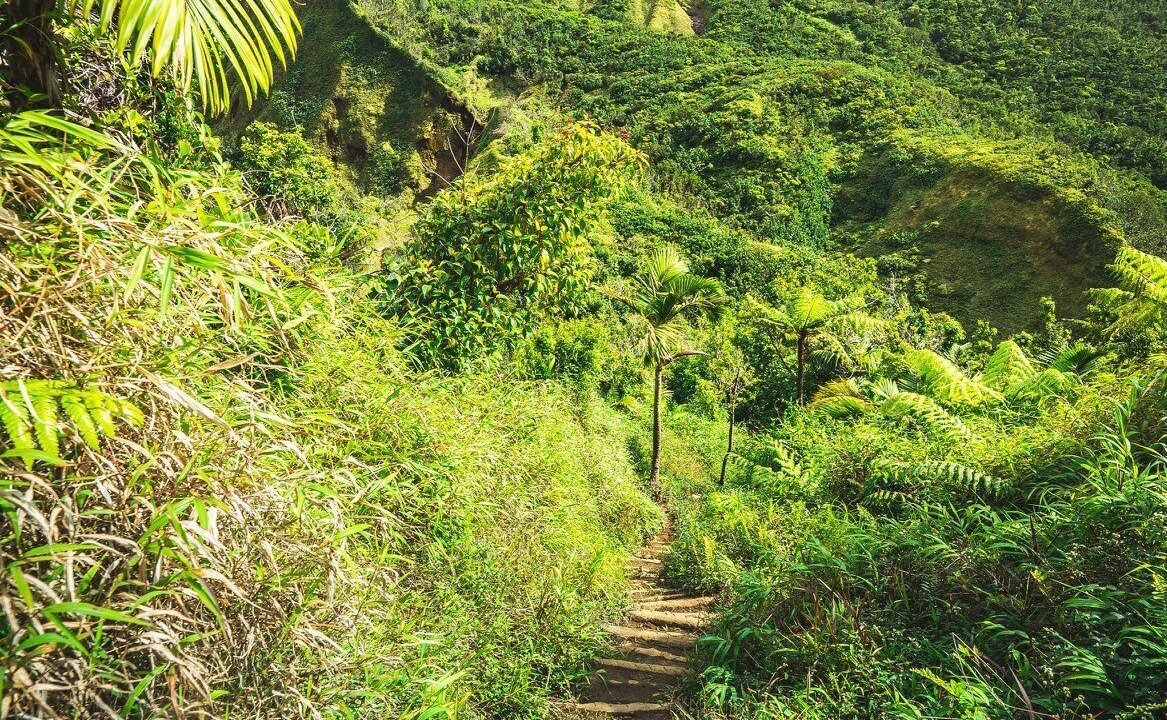 Photo of Outdoor in Anse du Me