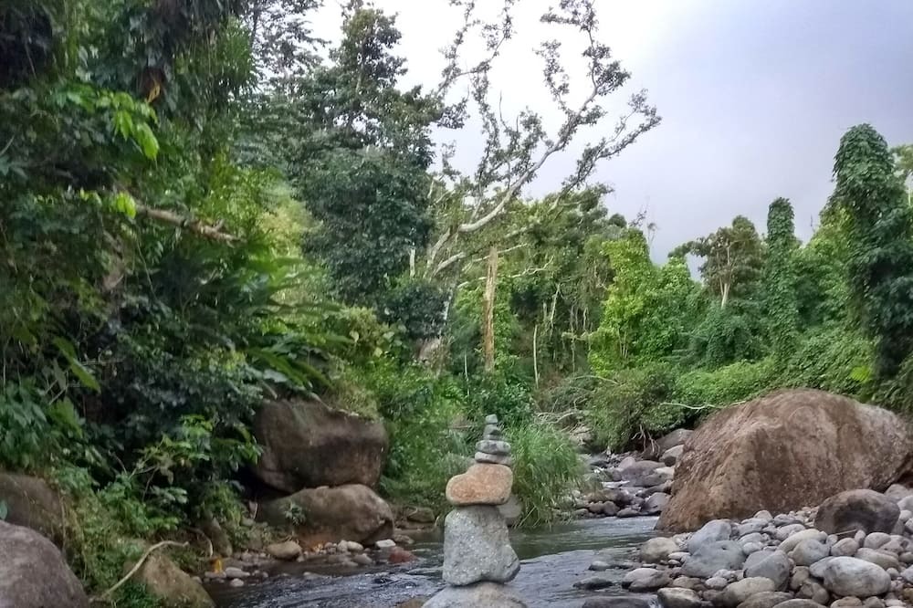 Photo of Outdoor in La Plaine
