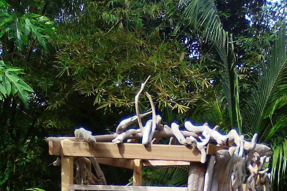 Photo of Outdoor in La Plaine