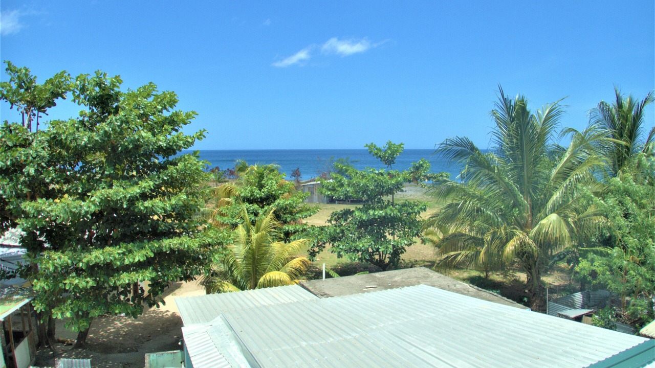 Photo of Others in Layou