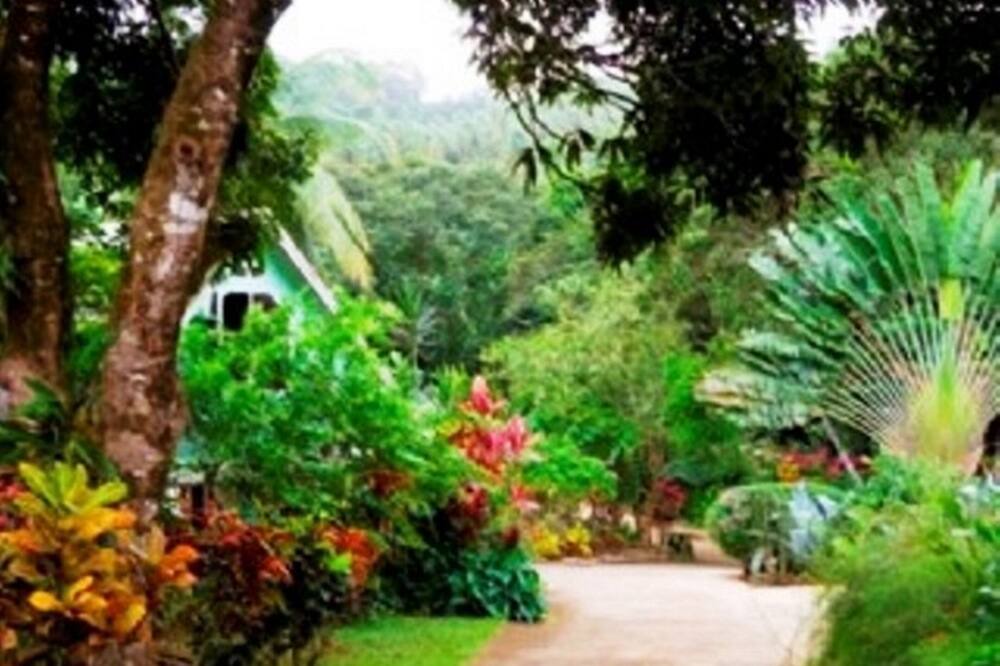 Photo of Outdoor in Marigot
