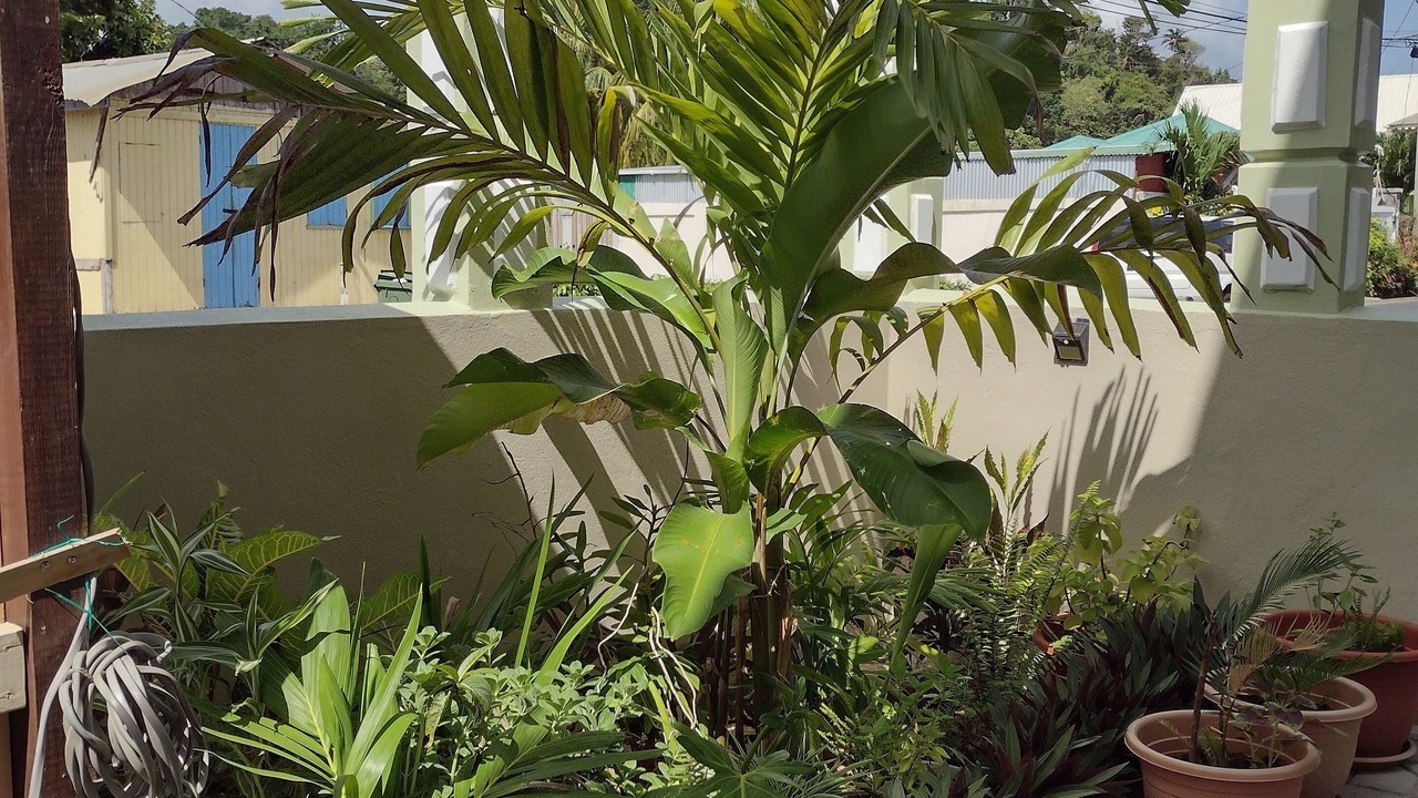 Photo of Outdoor in Calibishie