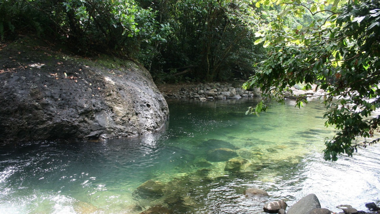 Photo of Outdoor in Rosalie