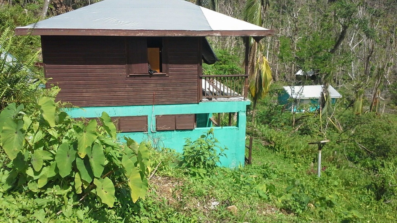 Photo of Outdoor in Rosalie