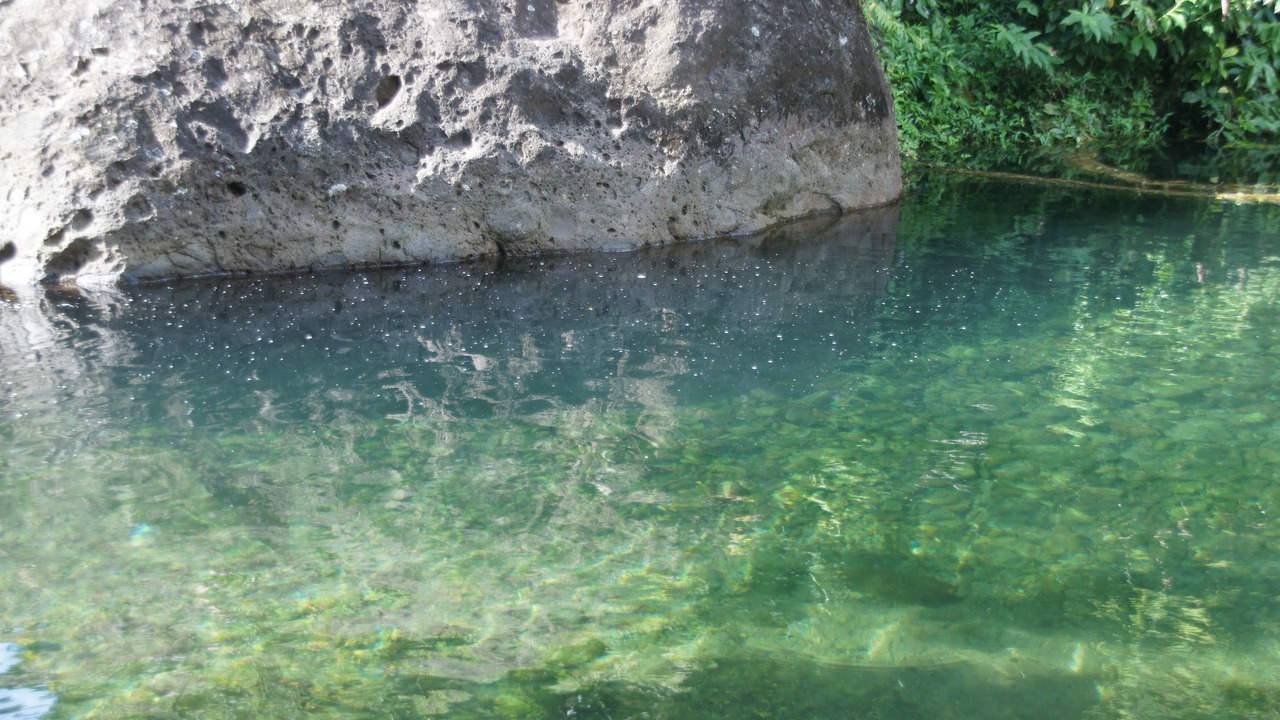 Photo of Outdoor in Rosalie