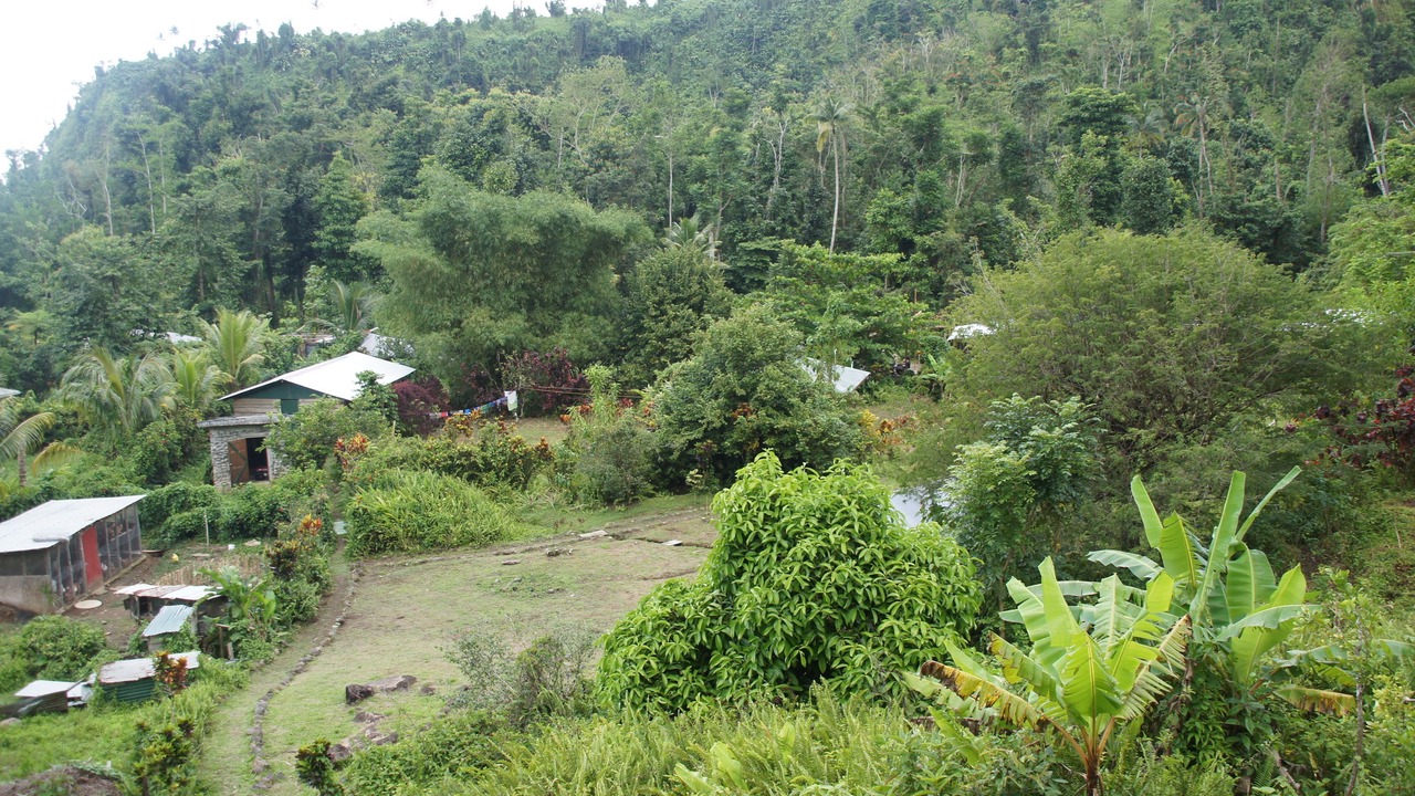 Photo of Outdoor in Rosalie