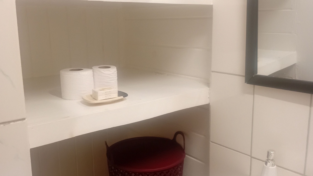 Photo of Bathroom in Pointe Michel