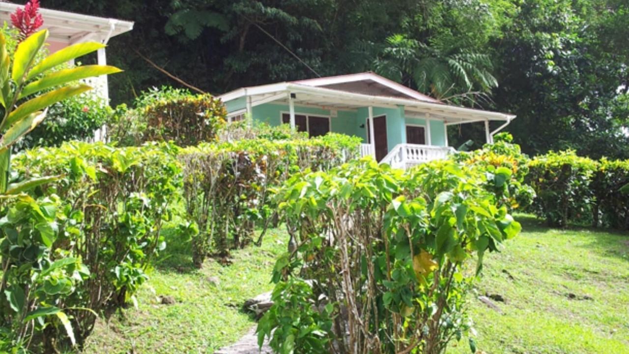 Photo of Outdoor in Fond Cani